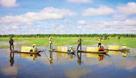 Dong Thap Tien Giang Vietnam